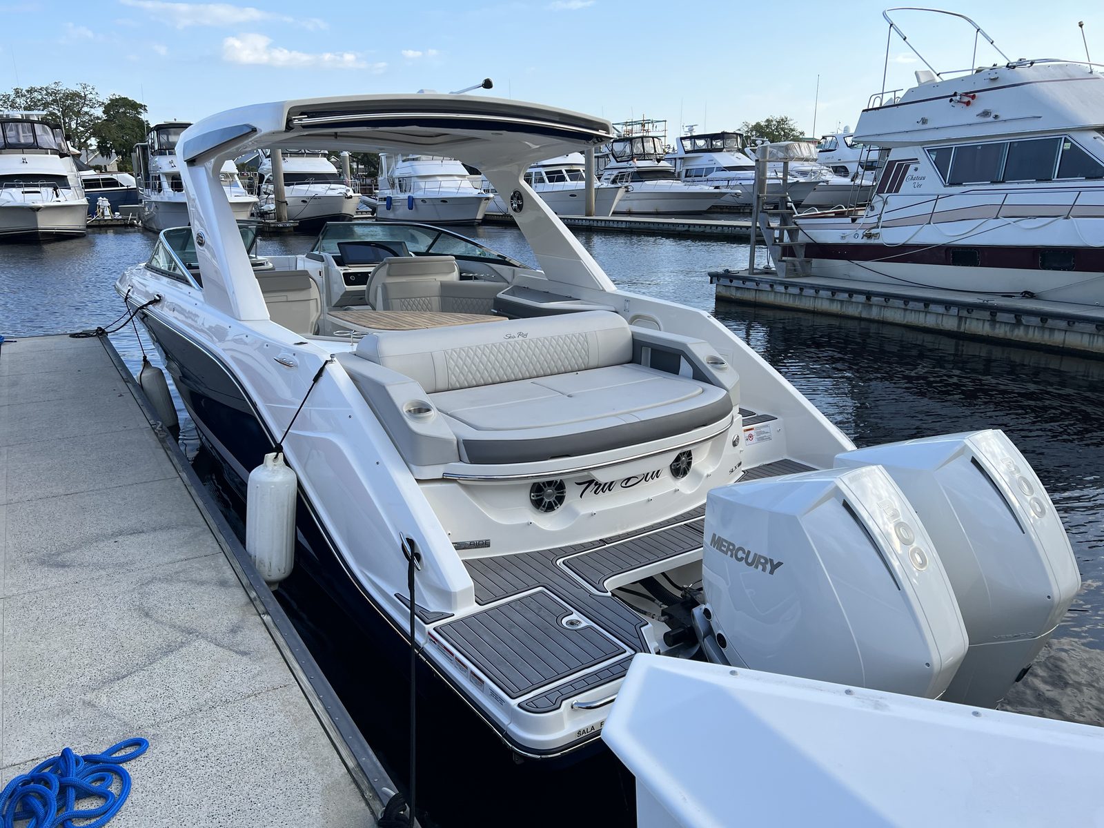Swim platform and twin Mercury Verados